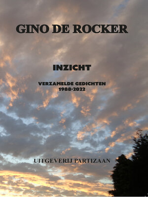 cover image of Inzicht